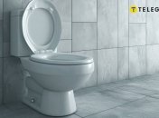 Крышка унитаза является важным гигиеническим средством (изображение создано с помощью ИИ)