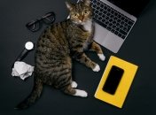 Позитивный гороскоп для Тельцов и Дев