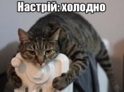 anekdot.kozaku.in.ua