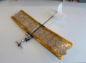 Перший їстівний дрон