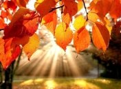 Прогноз погоды на 30 сентября: дожди в юго-западных областях