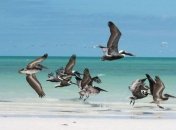 Остров Ольбош (Фоторепортаж)