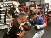 WBC продолжает настаивать на бое Гарсия - Линарес