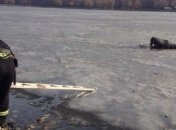 С начала года на водоемах Украины погибли 46