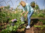 Работы на участке