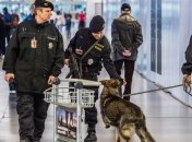 Полиция не нашла взрывчатки в зданиях вокзалов и мэрий в Чехии