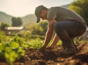 Приметы позволят вам лучше понят свои растения