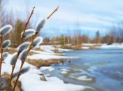 Зима близится к своему завершению