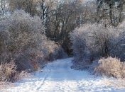 19 декабря - приметы и обряды в День Николая Зимнего