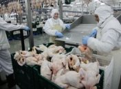 Украина улучшит качество мяса, чтобы возобновить экспорт в Казахстан