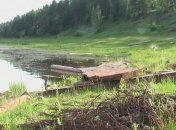 В Украине принят закон об увеличении штрафов за загрязнение лесов