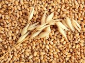 Полезный друг: ячмень в детском рационе