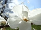 Прогноз погоды на 6 апреля в Украине: тепло, местами дождь