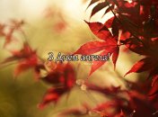 Разобрались, кого поздравляем с Днем ангела 14 октября