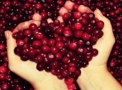 Чудодейственная клюква: профилактика и лечебные свойства