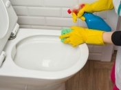 Унитазу легко можно вернуть чистоту и красивый вид