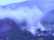 Причиной пожара в Ялте называют поджог