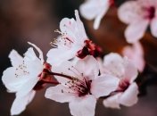 Яке свято 12 квітня: народні прикмети і заборони