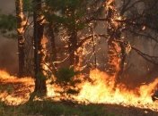 На Днепропетровщине объявлено штормовое предупреждение