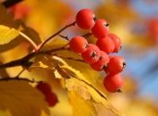 Прогноз погоды на 21 сентября: В Украине сохранится жаркая погода