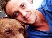 Драко Малфой сделал дружеский визит Гарри Потеру