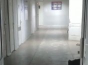 Люди лежат прямо в корридорах: видео из харьковской больницы всколыхнуло сеть 