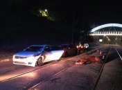 В результаті ДТП тварина померла.