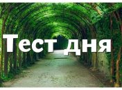 Ворожіння по картинці