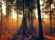 Праздник 17 октября: главные приметы и что категорически запрещено делать