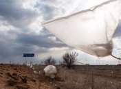 Грузия собирается отказаться от пластиковых пакетов 