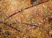 Неутешительный прогноз: синоптики рассказали, когда похолодает 