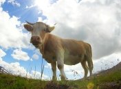 Прогноз погоды в Украине на 30 августа: тепло, местами ожидается дождь