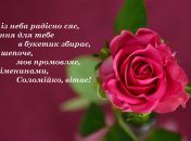 День ангела Соломии - поздравления