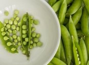 Зеленый горошек - как сажать и когда, чтобы получить отменный урожай