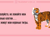 С улыбкой по жизни: прикольные анекдоты 19 марта