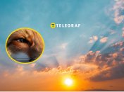 Под солнцем в Одесской области грелась хищница