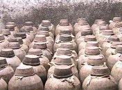 Обнаружено самое древнее свидетельство употребления алкоголя