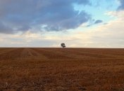 На вихідних на більшу частину України чекає ясна погода