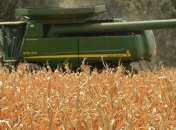 За 5 лет Украина станет крупным игроком на зерновом рынке - Азаров