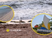 Кирилловка стала абсолютно другой