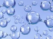 Падение уровня кислорода в морской воде массово убьет фауну 