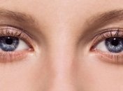 В скором времени станет возможной полная пересадка глаза