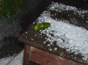 Полтаву засыпало градом (Видео)