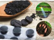 Польза активированного угля для растений