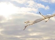 Какой праздник 24 января: народные приметы и запреты