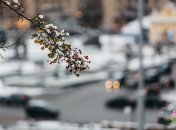 Прогноз погоды в Киеве на февраль 2024