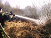 На Житомирщине горела сухая трава: пламя уничтожило четыре здания 