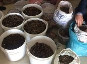 На Ровенщине полиция изъяла янтаря на 2 миллиона гривен