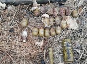 Собирал дрова, нашел гранаты: в Донецкой области мужчина обнаружил сумку с боеприпасами