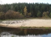 Погода в Украине 24 ноября: облачно, без осадков